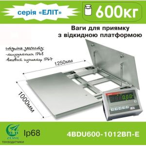 Весы для приямка с откидной платформой 4BDU600-1012ВП-E купить в интернет-магазине СТЦ-Исток Харьков