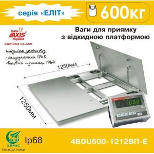 Весы для приямка с откидной платформой 4BDU600-1212ВП-E купить в интернет-магазине СТЦ-Исток Харьков