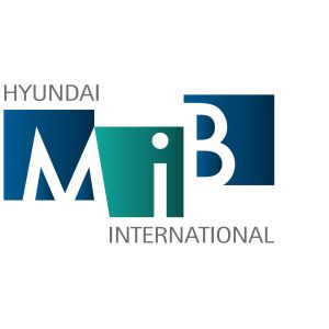 HYUNDAI MIB